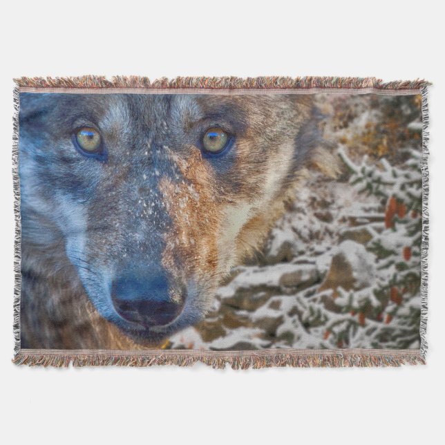 GREY WOLF WINTER'S RANGER THROW BLANKET (Front)