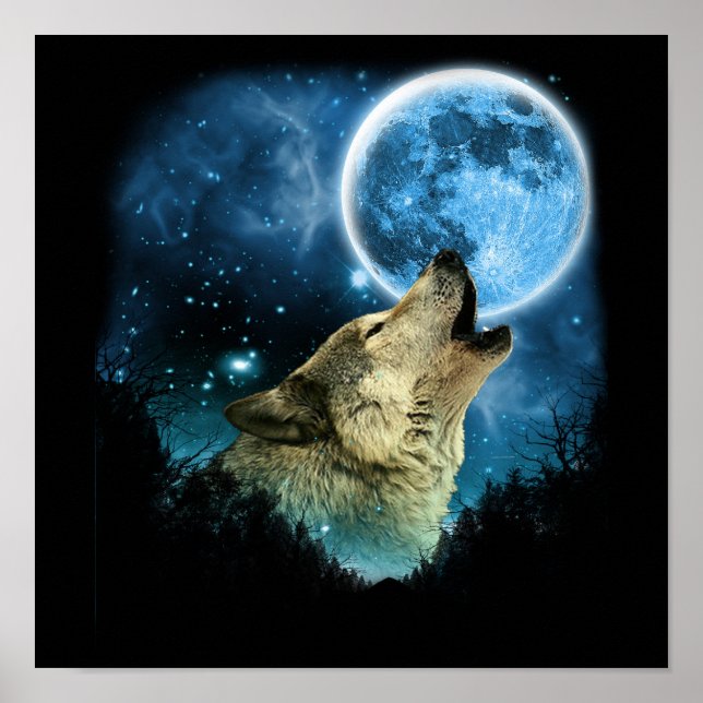Grey Wolfs Skylight 2 Poster (Front)