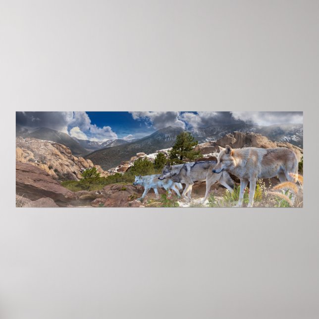 Grey Wolves Family Journey Poster (Front)