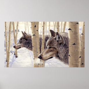 Grey Wolves in Snow Painting - Poster