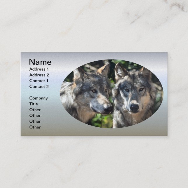 Grey Wolves in the Wild Business Card (Front)