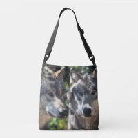 Grey Wolves in the Wild