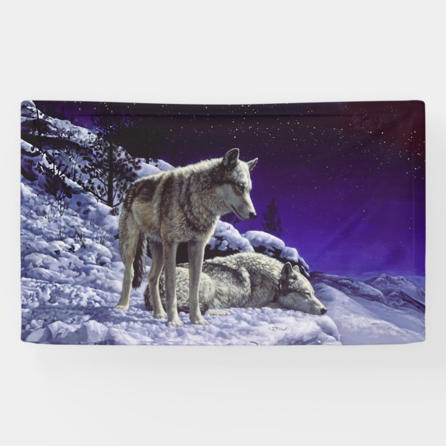 Grey Wolves in Winter Snow at Night Banner (Horizontal)