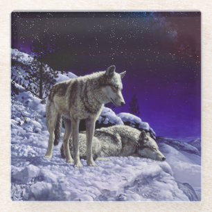Grey Wolves in Winter Snow at Night Glass Coaster