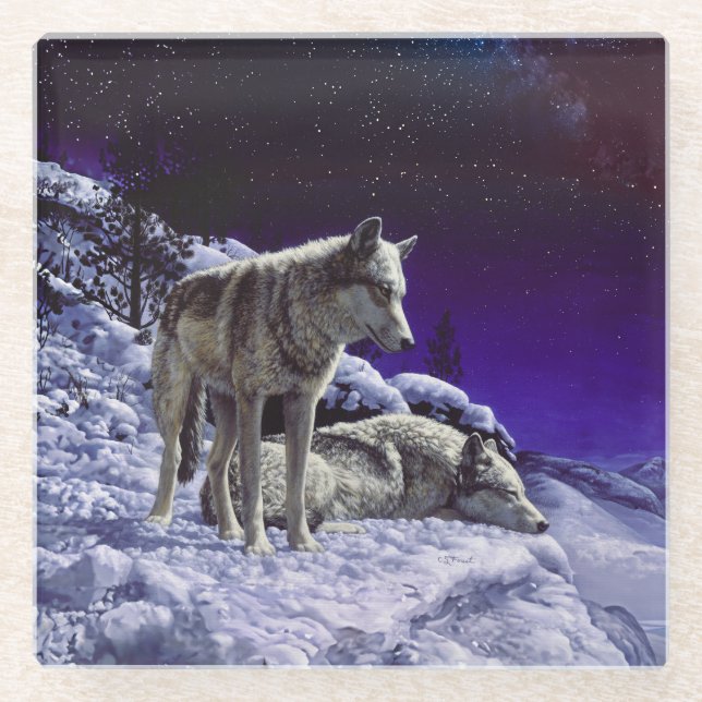 Grey Wolves in Winter Snow at Night Glass Coaster (Front)