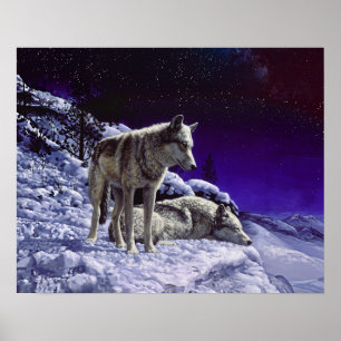 Grey Wolves in Winter Snow at Night Poster