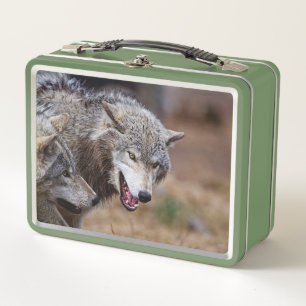 Grey Wolves Metal Lunch Box