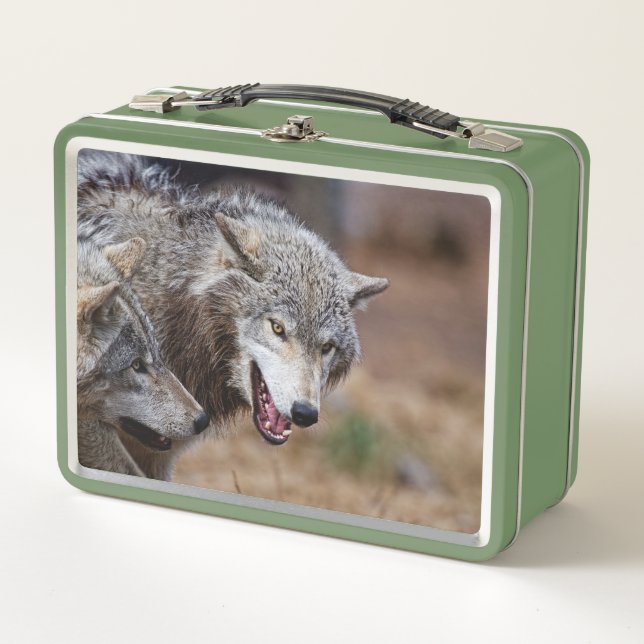 Grey Wolves Metal Lunch Box (Front)