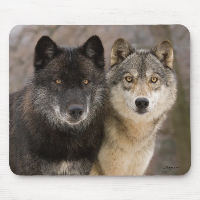 Grey Wolves Mouse Mat (Front)
