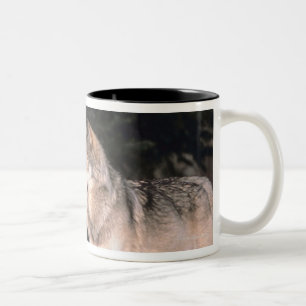 Grey wolves Two-Tone coffee mug