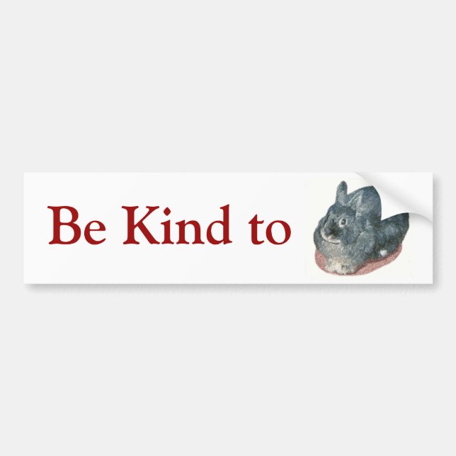 Grey Wooly Rabbit Bumper Sticker (Front)