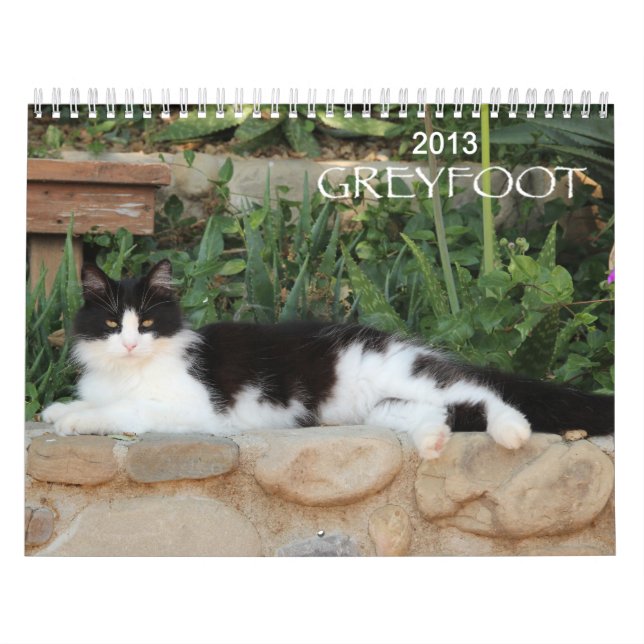 Greyfoot Cat Rescue 2013 Calendar (Cover)