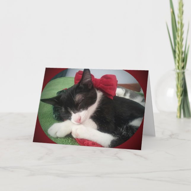 Greyfoot Cat Rescue Black & White Holiday Card (Front)