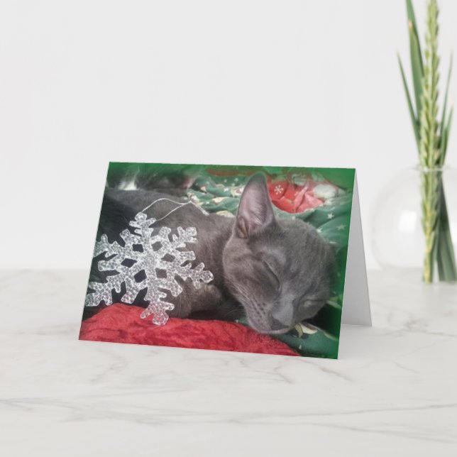 Greyfoot Cat Rescue Russian Blue Holiday Card (Front)
