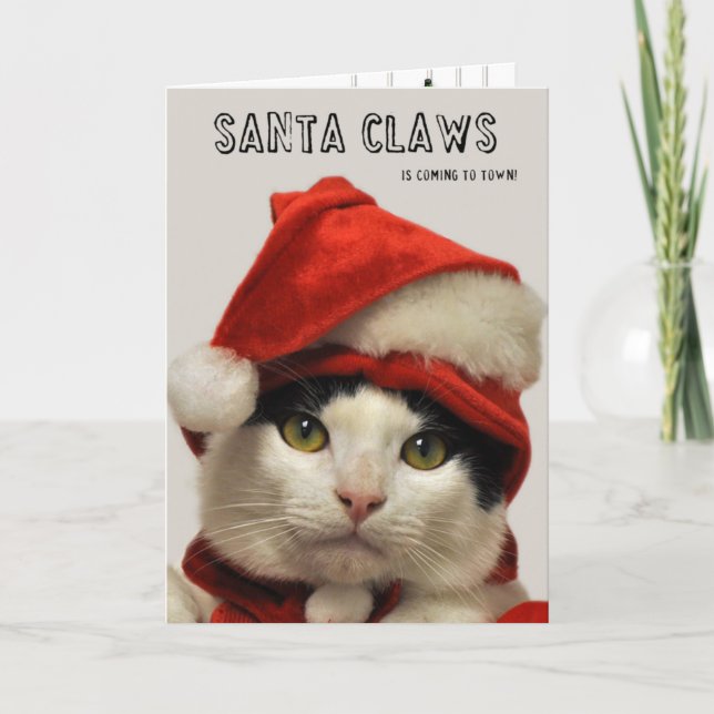 Greyfoot Cat Rescue Santa Claws Holiday Card (Front)