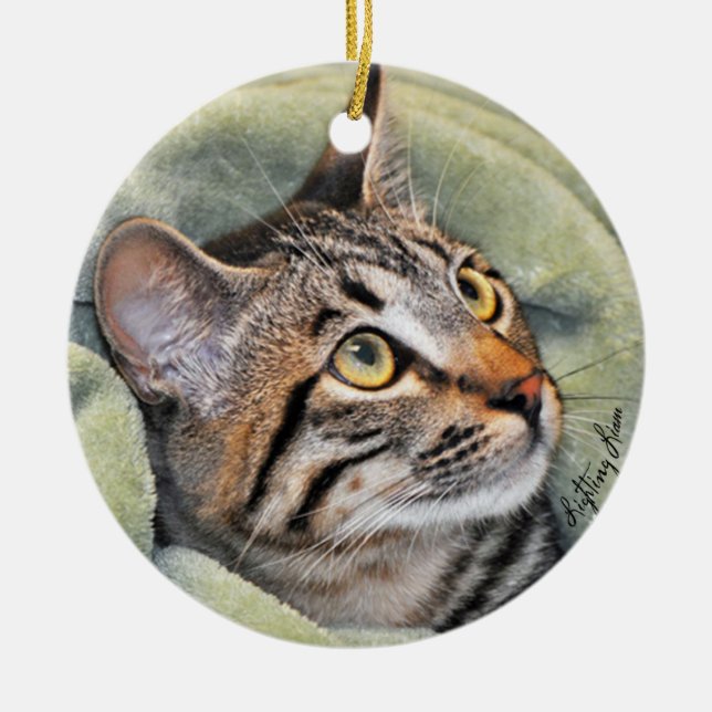 Greyfoot Cat Rescue Silver Grey Tabby Ornament (Front)