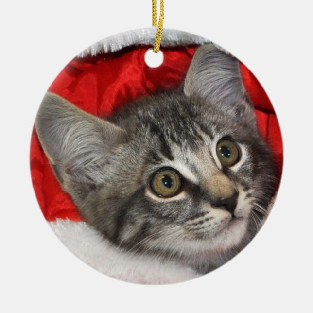 Greyfoot Cat Rescue Silver Grey Tabby Ornament (Front)