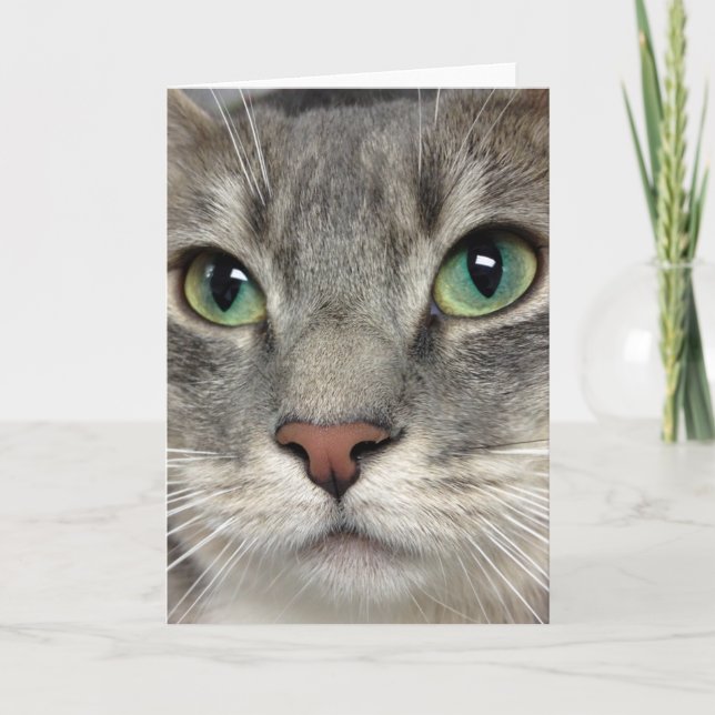 Greyfoot Cat Rescue - Those Eyes - Greeting Card (Front)