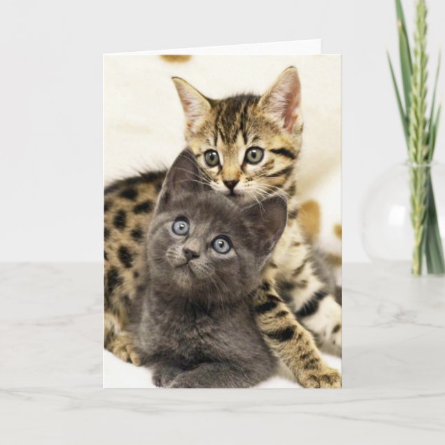 Greyfoot Cat Two Cute Kittens Greeting Card (Front)