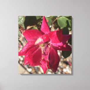 greyforaday Floral Red Print