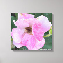 greyforaday Pink Floral Print