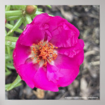 greyforaday Purple Floral Print