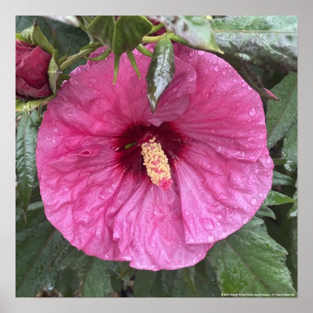 greyforaday Purple Floral Print (Front)