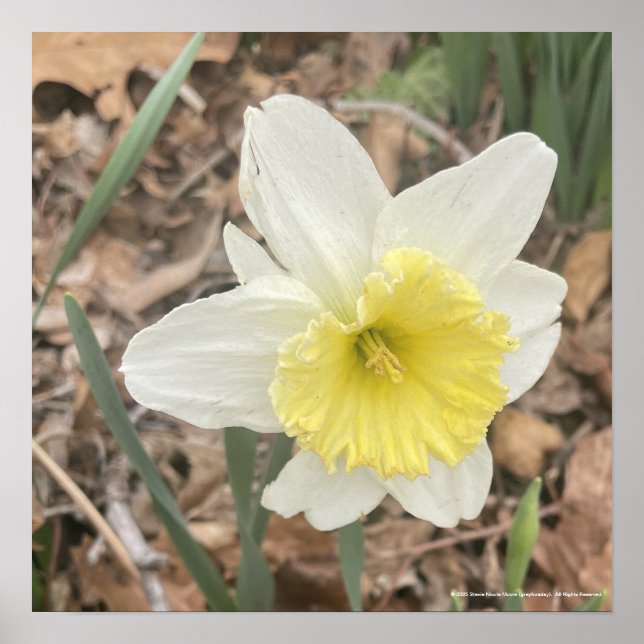 greyforaday White Floral Print (Front)