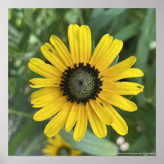 greyforaday Yellow Floral Print (Front)