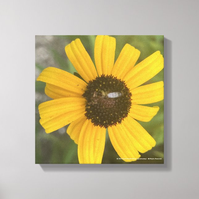 greyforaday Yellow Floral Print (Front)