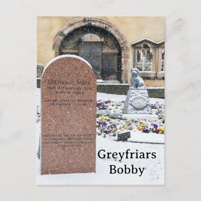 Greyfriars Bobby, Edinburgh Postcard (Front)