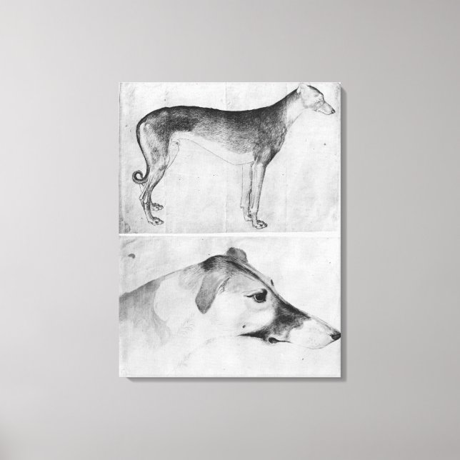 Greyhound and head of a greyhound canvas print (Front)