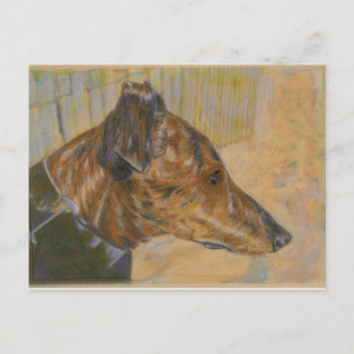 Greyhound art postcard