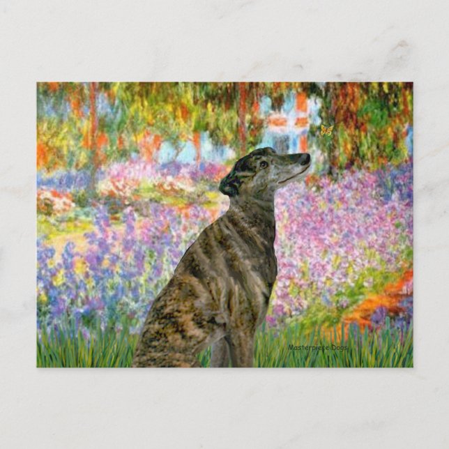 Greyhound (br2) - Garden Postcard (Front)