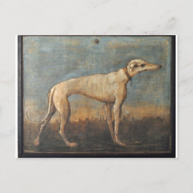 Greyhound by Giovanni Domenico Tiepolo Postcard (Front)