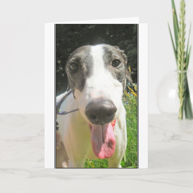 Greyhound Card (Front)