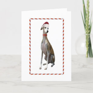 Greyhound Christmas Card