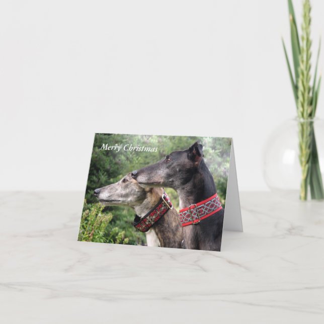 Greyhound Christmas card (p334a) (Front)