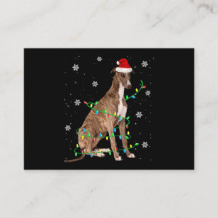 greyhound christmas light cute santa greyhound enclosure card