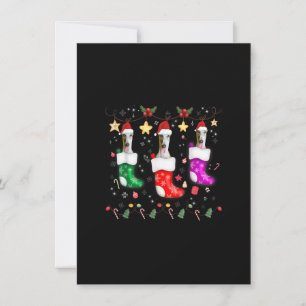 Greyhound Christmas Lights Gift Funny Xmas Dog Lov Invitation