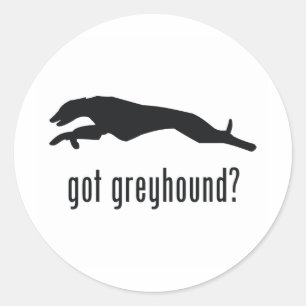 Greyhound Classic Round Sticker
