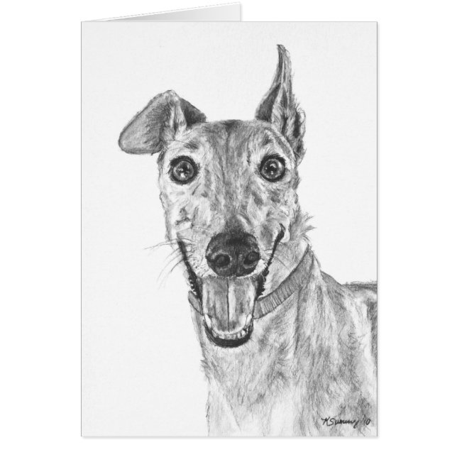 Greyhound Closeup Drawing (Front)
