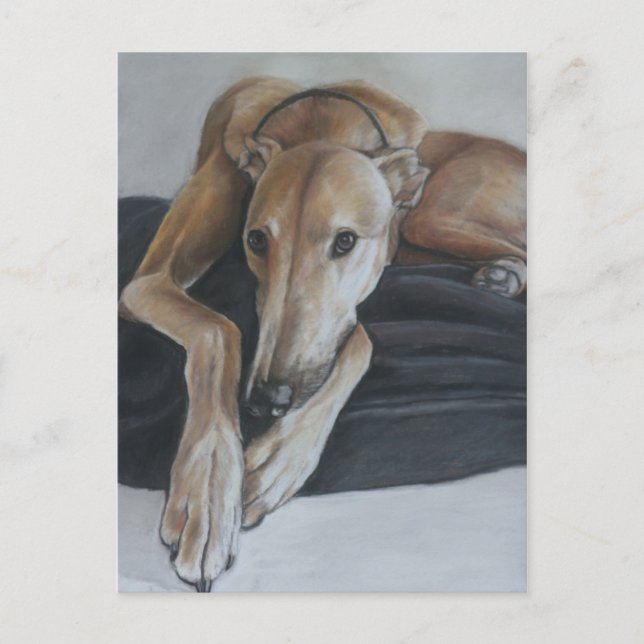 Greyhound Dog Art Postcard (Front)