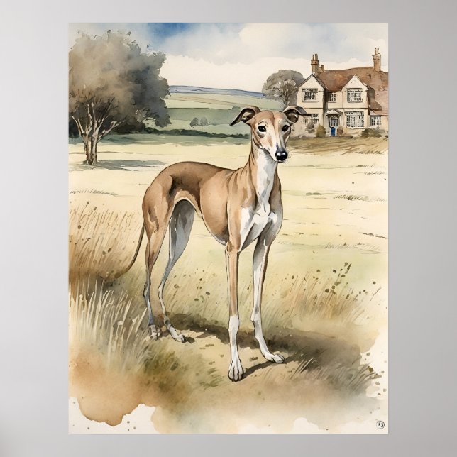 Greyhound - Dog Art Print (Front)