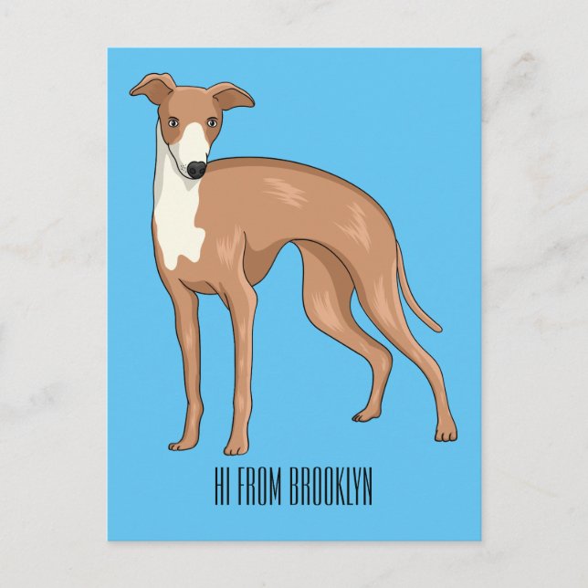 Greyhound dog cartoon illustration postcard (Front)
