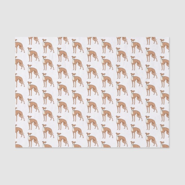 Greyhound dog cartoon illustration tissue paper (Front)