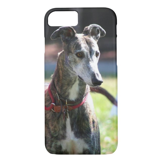 Greyhound dog Case-Mate iPhone case (Back)