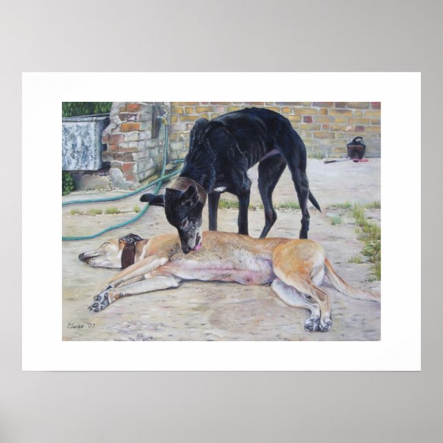 greyhound dog portrait realist animal art poster (Front)