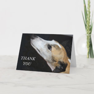 Greyhound Dog Thank You Card