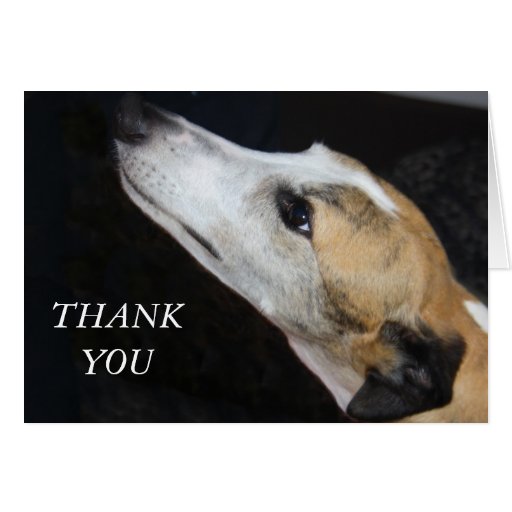 Image of Greyhound Dog Thank You Card